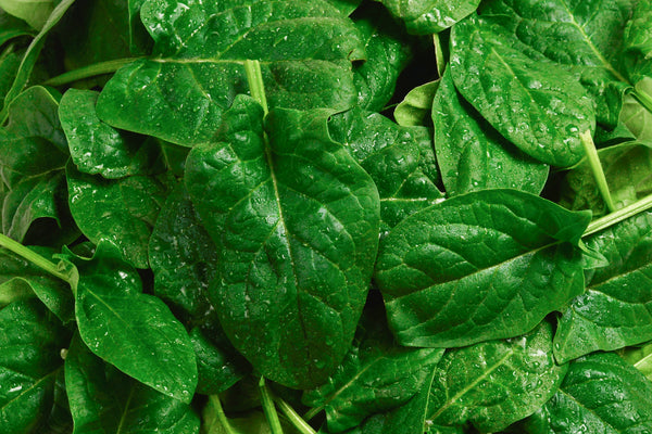 Spinach