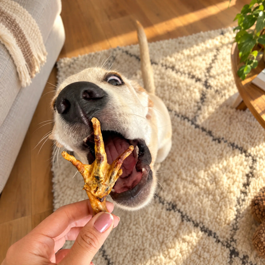 Chicken Feet